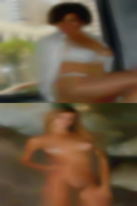 Find horny house wives cougars AZ website.